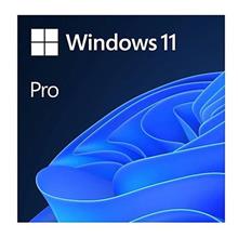Microsoft Windows 11 Pro 64Bit Türkçe Kutu Hav-00159 Kutulu İşletim Sistemi(500.10.10.0015)
